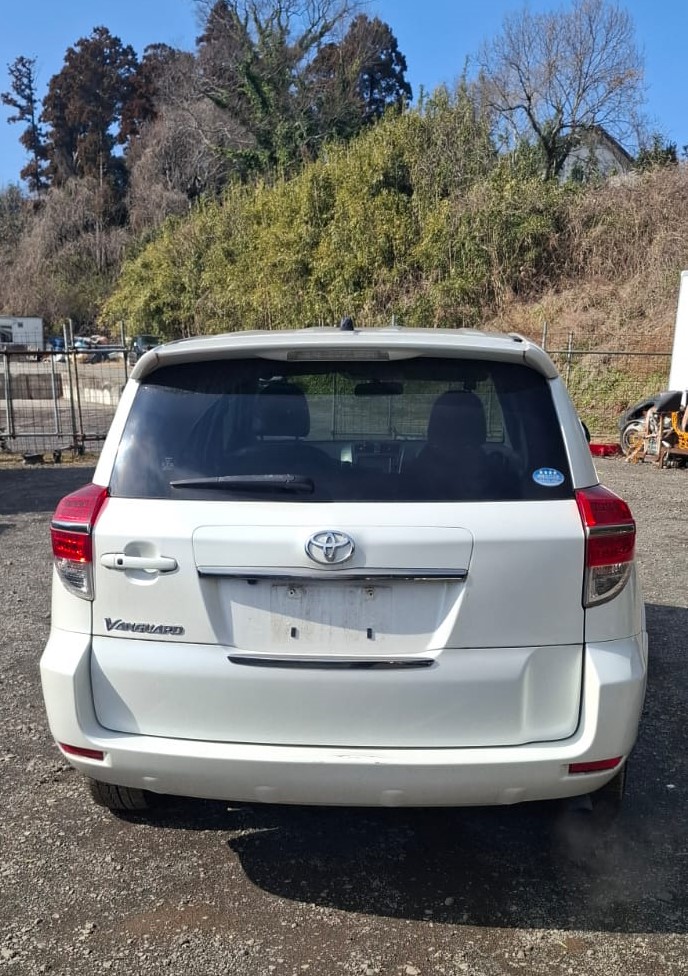 WhatsApp Image 2026-02-12 at 11.39.16 AM (1)