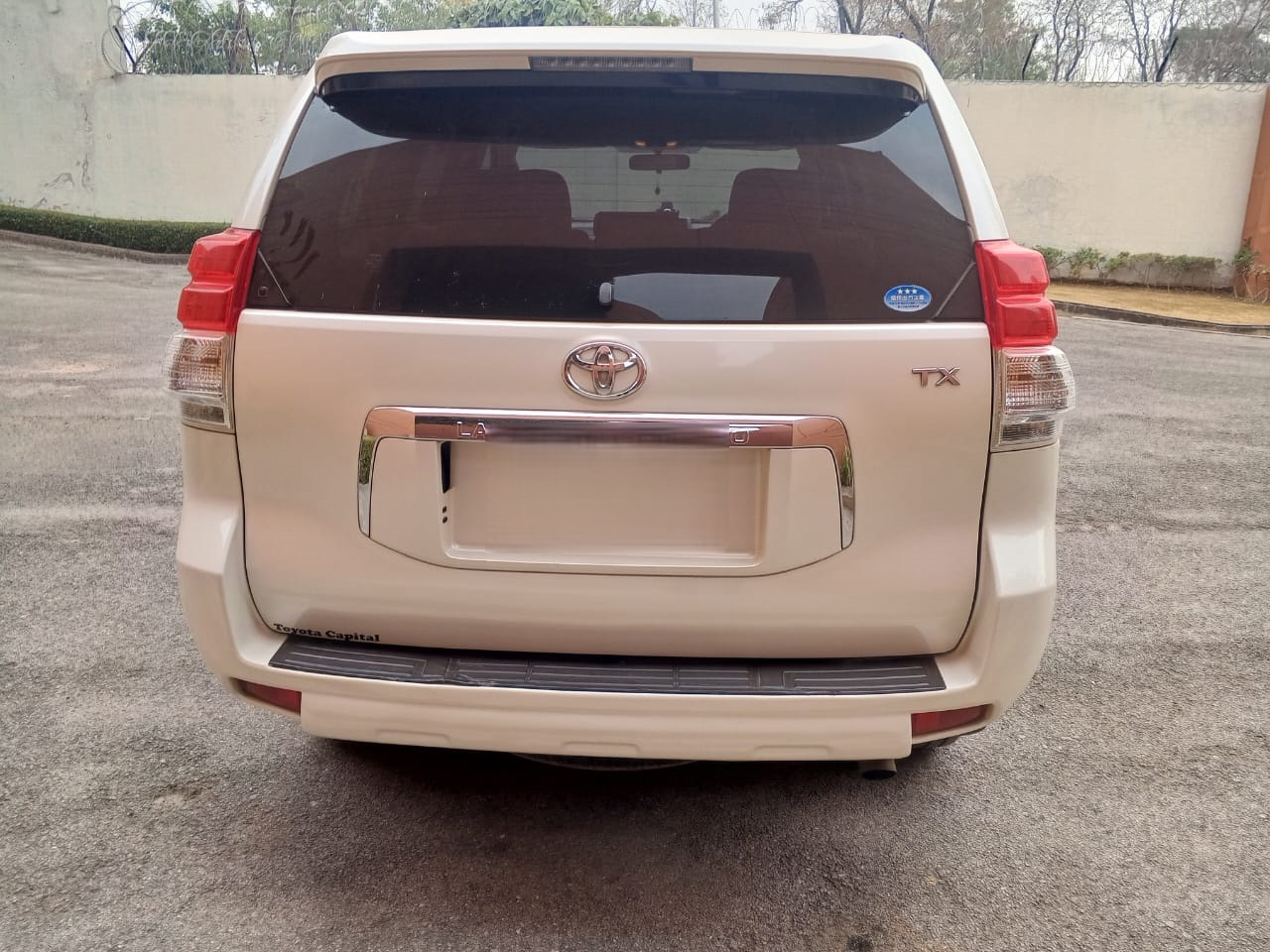 WhatsApp Image 2026-02-17 at 9.52.06 AM (1)