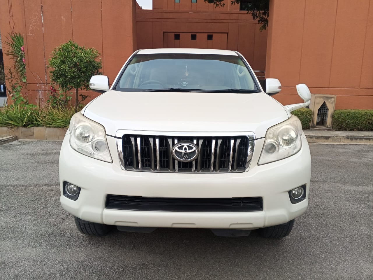 WhatsApp Image 2026-02-17 at 9.52.06 AM (3)